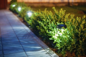 LANDSCAPE LIGHTING IN THE GARDEN