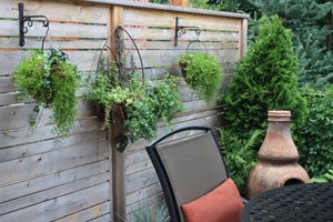 Hanging baskets and privacy in Oakville