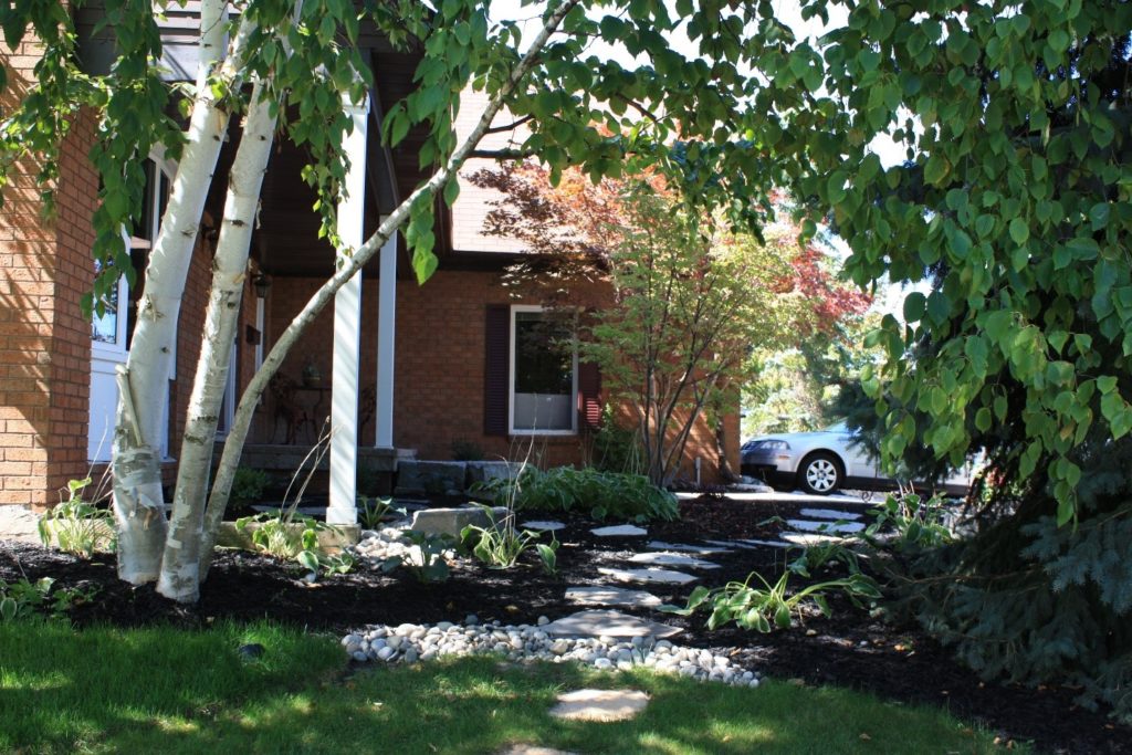 Tree and Shrub Installation in Oakville